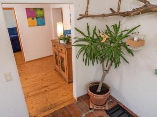 Apartment in Freiburg near Black Forest, cleaning included - Herrischried - 1