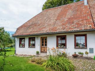 Apartment in Freiburg near Black Forest, cleaning included - Herrischried - 9
