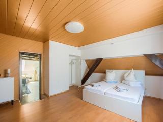 Apartment in Herbolzheim near Europa-Park, cleaning included - Herbolzheim - 7