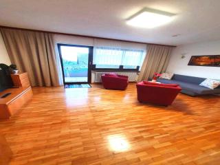 Apartment in Görwihl near Black Forest Waterfalls, cleaning included - Görwihl - 5