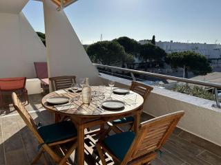 Appartement 2 pièces, terrasse vue port, parking privé, clim, animaux admis - FR-1-250-313 - Le Grau-du-Roi - 7