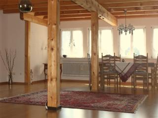Duplex in Herrischried near Ski Slopes, cleaning included - Herrischried - 2