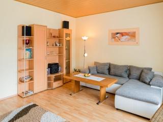 Apartment near the ski area in Medebach, cleaning included - Medebach - 0