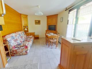 Appartement confortable avec terrasse et Wi-Fi aux Rousses - 7