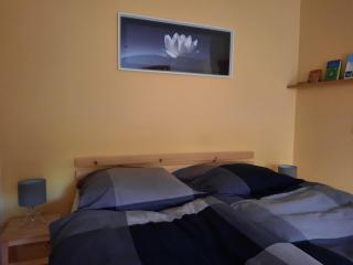 Apartment in Mirow by Lake Vilzsee - Diemitz - 7