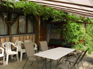 Apartment in Bernau near Feldberg Ski Area, cleaning included - - 4