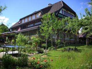 Apartment in Bernau near Feldberg Ski Area, cleaning included - - 9
