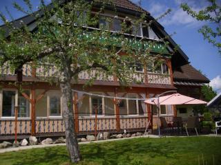 Apartment in Bernau near Feldberg Ski Area, cleaning included - - 3