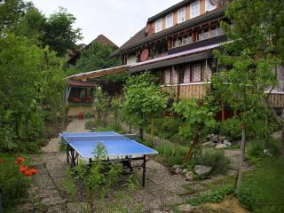Apartment in Bernau near Feldberg Ski Area, cleaning included - - 2