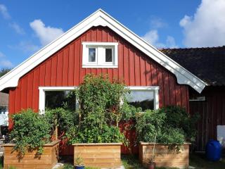 Holiday home Åsa II - Åsa - 3