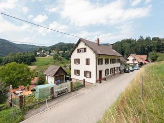 Apartment in Malsburg with Garden, cleaning included - Marzell - 4
