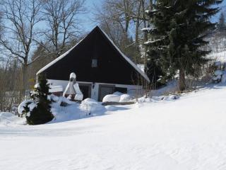 Holiday home with terrace in the Black Forest, cleaning included - Brigach - 1