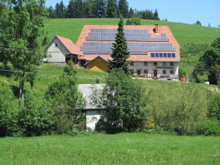 Holiday home with terrace in the Black Forest, cleaning included - Brigach - 4