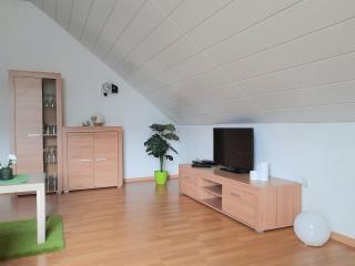 Apartment Herrischried near Ski Lifts, cleaning included - - 4