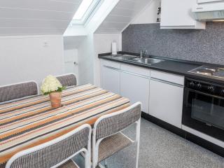 Apartment in Kniebis near Ski Trail, cleaning included - Freudenstadt - 2
