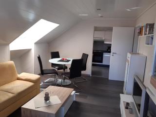 Apartment in Kniebis near Ski Trail, cleaning included - Freudenstadt - 0
