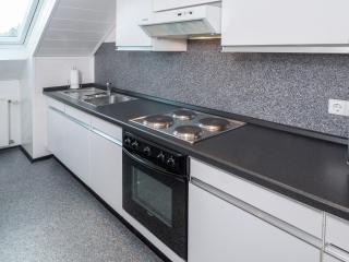 Apartment in Kniebis near Ski Trail, cleaning included - Freudenstadt - 1