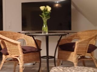 Flat in Oberrotweil with vineyard views, cleaning included - - 4