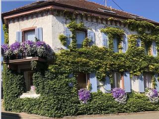 Flat in Oberrotweil with vineyard views, cleaning included - - 9