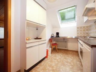 Apartment in Bad Peterstal near Vineyards, cleaning included - Bad Peterstal-Griesbach - 1