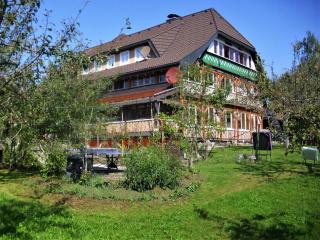 Apartment in Bernau near Ski Lift, cleaning included - - 3