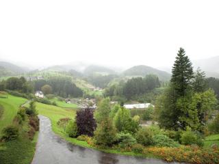 Apartment in Black Forest near Bear Park, cleaning included - Bad Peterstal-Griesbach - 3