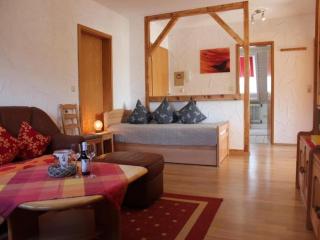 Apartment Herrischried near Ski Paradise, cleaning included - Herrischried - 5
