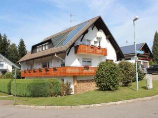 Apartment Herrischried near Ski Paradise, cleaning included - Herrischried - 9