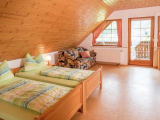 Apartment in Schuttertal Black Forest, cleaning included - - 1