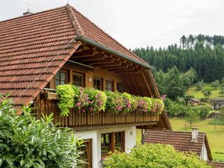 Apartment in Schuttertal near Black Forest, cleaning included - - 4