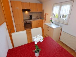 Apartment in Black Forest near Danube Source, cleaning included - Villingen-Schwenningen - 1