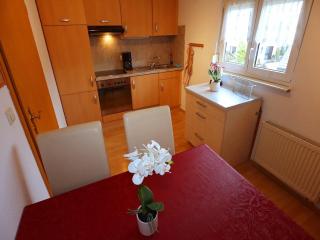 Apartment in Black Forest near Danube Source, cleaning included - Villingen-Schwenningen - 7