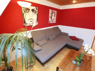 Apartment in Black Forest near Danube Source, cleaning included - Villingen-Schwenningen - 3