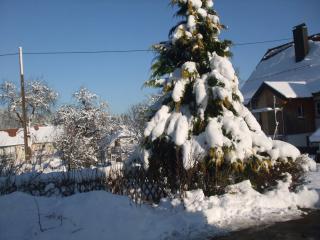 Apartment with balcony in the Black Forest, cleaning included - Kappel - 3