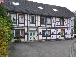 Modern group of homes close to Willingen and Winterberg with large garden - Medebach - 4