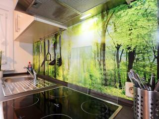 Lovely apartment in the Black Forest, cleaning included - Villingen-Schwenningen - 2