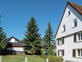 Lovely apartment in the Black Forest, cleaning included - Villingen-Schwenningen - 5