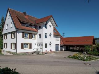 Lovely apartment in the Black Forest, cleaning included - Villingen-Schwenningen - 9