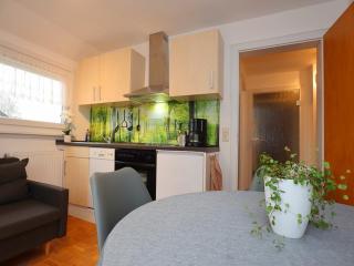 Lovely apartment in the Black Forest, cleaning included - Villingen-Schwenningen - 8