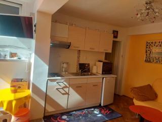 Apartments Palm House - Rovinj - 9