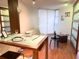 Modern 1BR near Bellas Artes - Santiago Centro - Santiago - 6