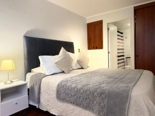 Modern 1BR near Bellas Artes - Santiago Centro - Santiago - 2