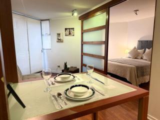 Modern 1BR near Bellas Artes - Santiago Centro - Santiago - 1