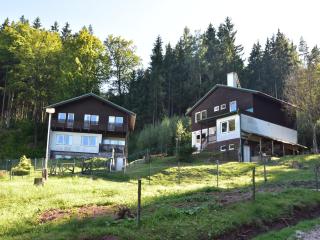 Chalet in Dolní Brusnice near Ski Lift, cleaning included - Bílá Třemešná - 9
