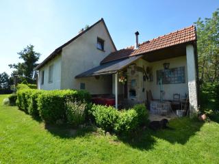 Holiday Home near Pürglitz Castle, cleaning included - Svinařov - 4