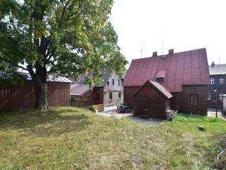 Holiday Home in Bohemia near Ski Area and Forests, cleaning included - Abertamy - 6
