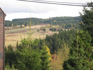 Holiday Home in Bohemia near Ski Area and Forests, cleaning included - Abertamy - 2
