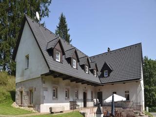 Holiday Home in Vidochov near Ski Slopes, cleaning included - Stupná - 8