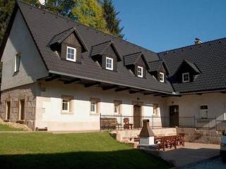 Holiday Home in Vidochov near Ski Slopes, cleaning included - Stupná - 9