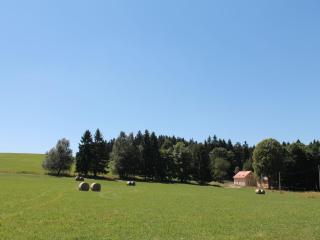renovated house with stunning of Bohemian Forest, cleaning included - Milíře - 3